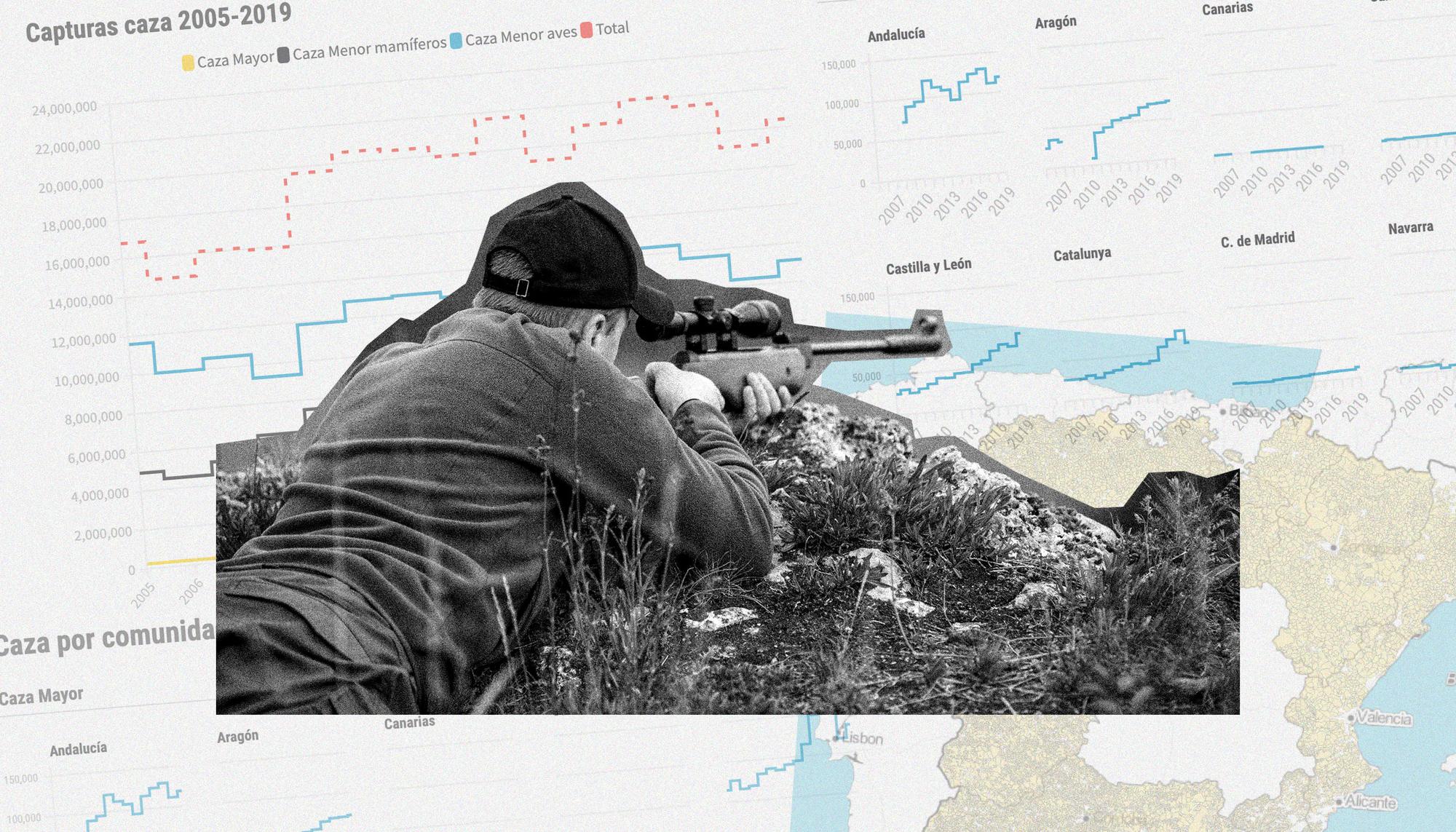montaje datateca caza